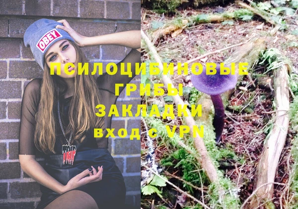 мдпв Краснотурьинск