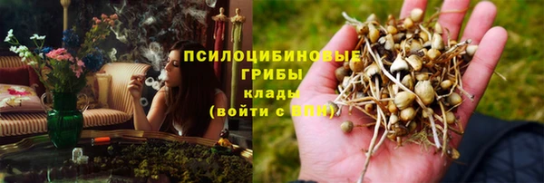 мяу мяу мука Краснослободск