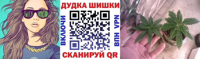 Бошки Шишки планчик  Купить закладки  Тбилисская 